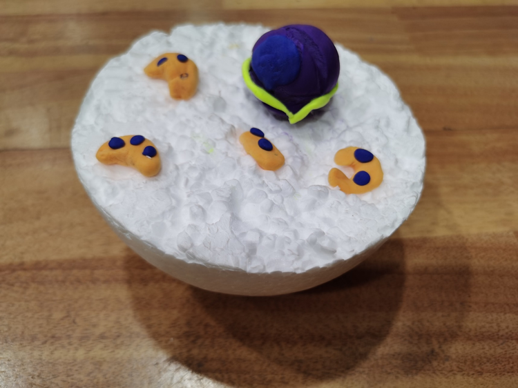 4e0876c8c3954956b32f5a32bea3dee8.jpg 4e0876c8c3954956b32f5a32bea3dee8.jpg