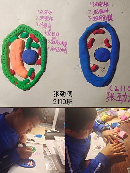 56e05f38a7824627a8f8f41f71dd1dc1.jpg 56e05f38a7824627a8f8f41f71dd1dc1.jpg