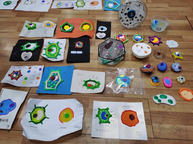 5bd72c744de54251b066499b5577f71e.jpg 5bd72c744de54251b066499b5577f71e.jpg