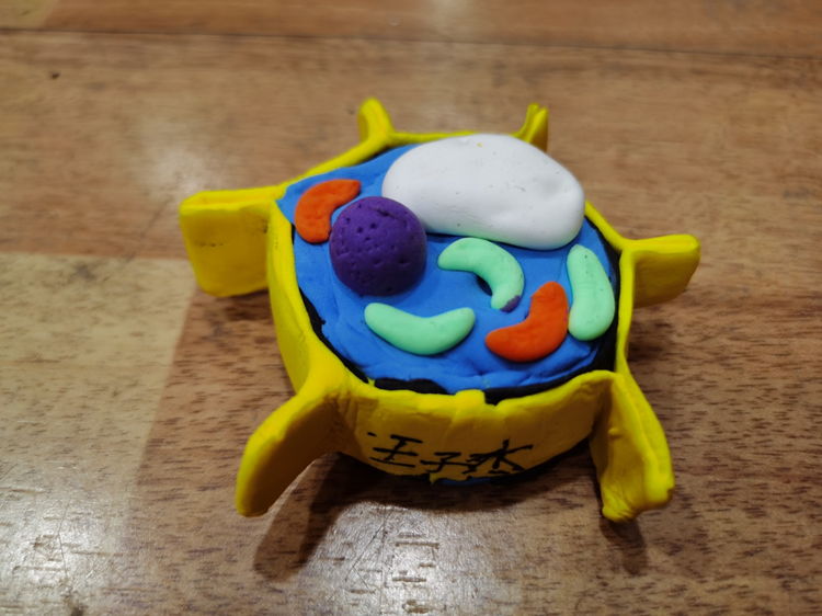 8173aecd04e04705b55a15e897f34019.jpg 8173aecd04e04705b55a15e897f34019.jpg