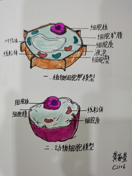 c237fbb709a84236a616322ce35c623f.jpg c237fbb709a84236a616322ce35c623f.jpg