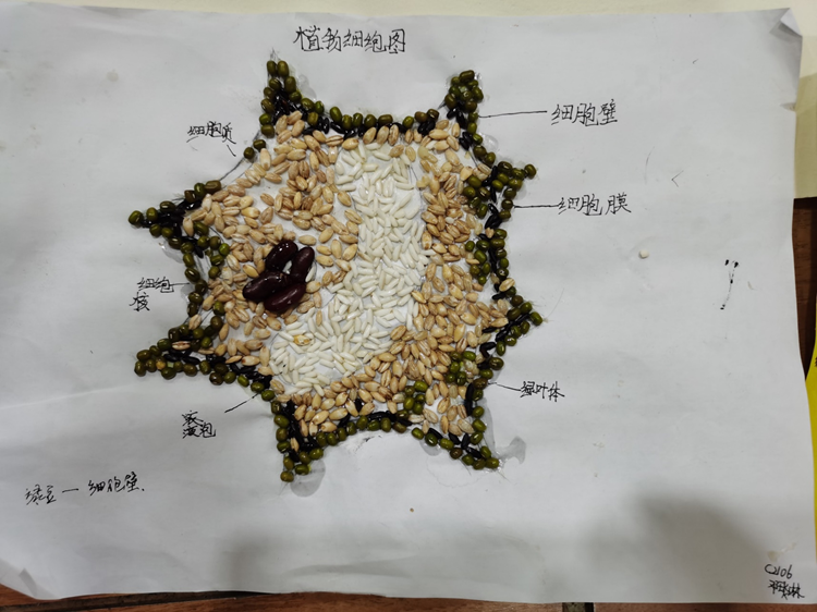 c6d716db78ef47aca31b1b3d4f8f535e.jpg c6d716db78ef47aca31b1b3d4f8f535e.jpg