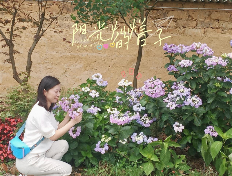 0d5fe1555d8943e0828a4f******03573.png 0d5fe1555d8943e0828a4f******03573.png