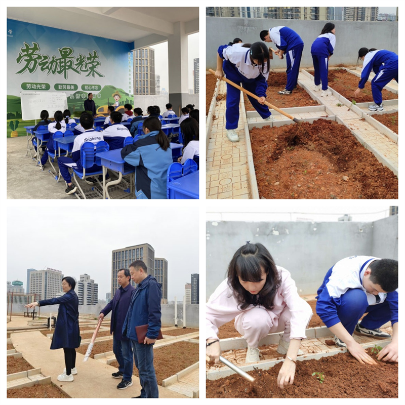 2345cd00624d42a1aa72cd4849792bbd.png 2345cd00624d42a1aa72cd4849792bbd.png