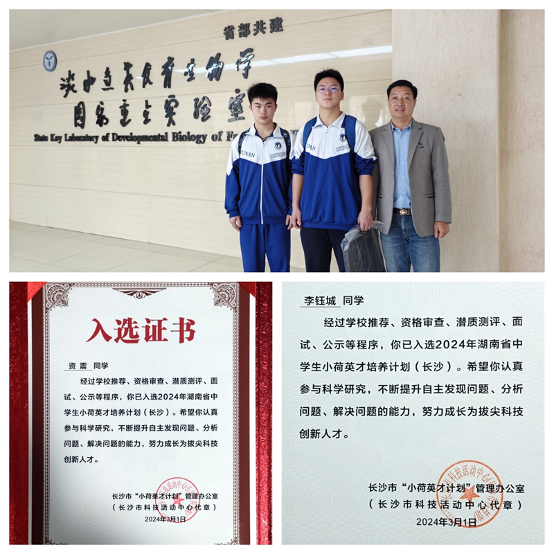 ebb989f353dc49dda01a2b0fccb3ddae.png ebb989f353dc49dda01a2b0fccb3ddae.png