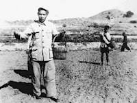 谷文昌：扎根东山岛 造林治风沙