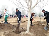 习近平参加义务植树活动：像对待生命一样对待环境